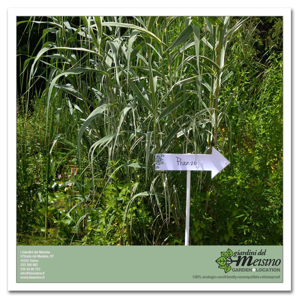 giardini meisino location torino 055